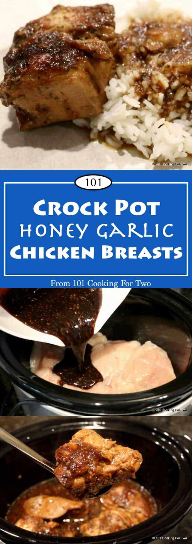 Low Fat Chicken Crock Pot Recipes
 Crock Pot Honey Garlic Chicken Breast