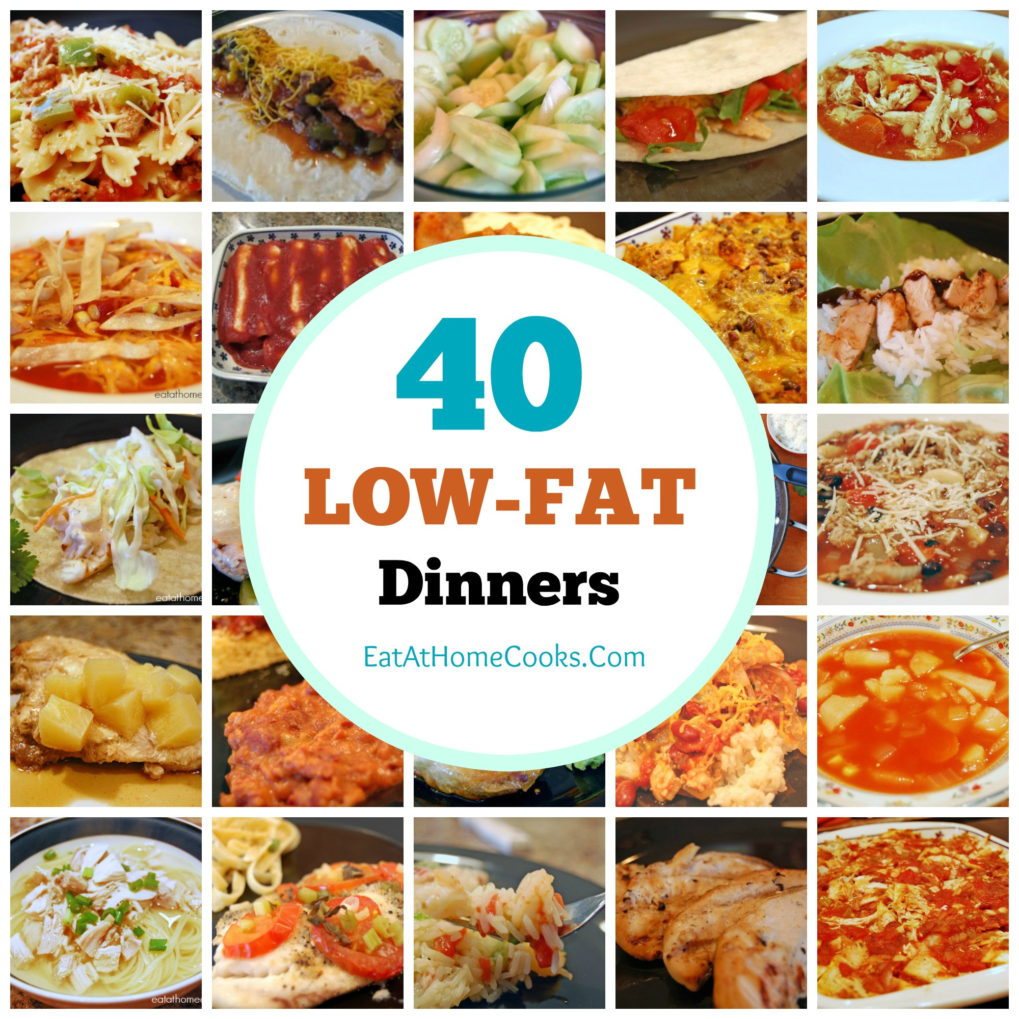 Low Fat Dinners
 My Big Fat List of 40 Low Fat Recipes Eat at Home