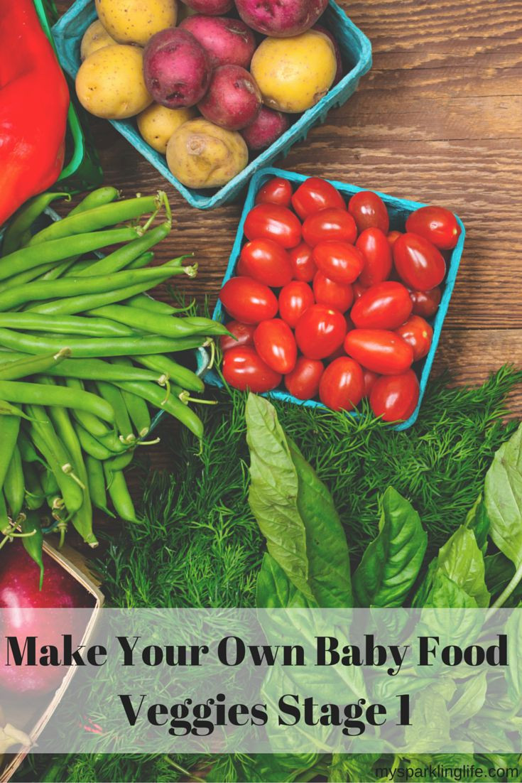 Make Your Own Baby Food Recipes
 Make Your Own Baby Food Veggies Stage 1