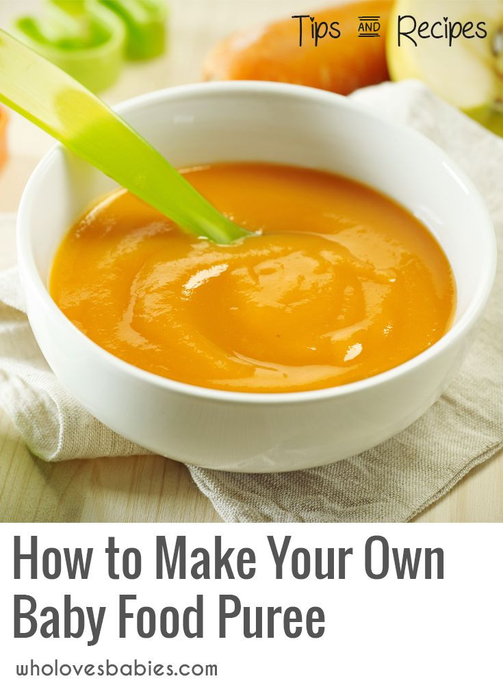 Make Your Own Baby Food Recipes
 How to Make Your Own Baby Food Puree in 2020