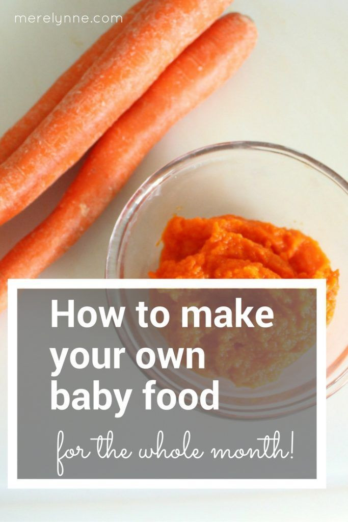 Make Your Own Baby Food Recipes
 How To Make Your Own Baby Food for the Whole Month