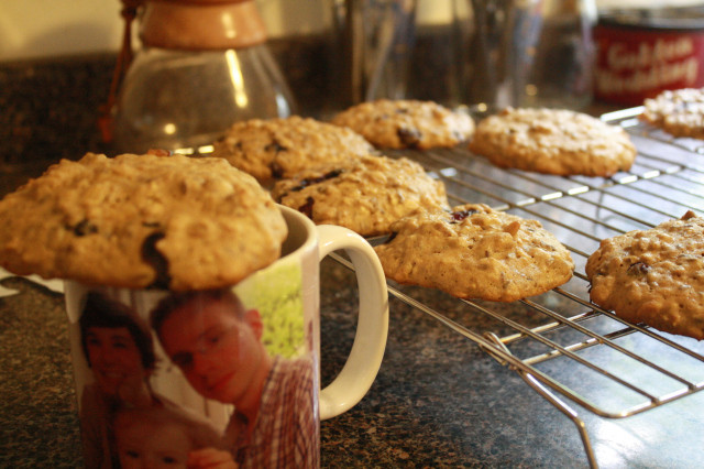 Martha Stewart Breakfast Cookies
 wannagohomesteady