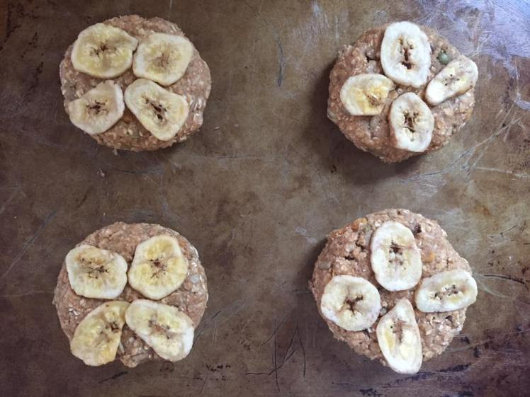 Martha Stewart Breakfast Cookies
 Breakfast Cookies