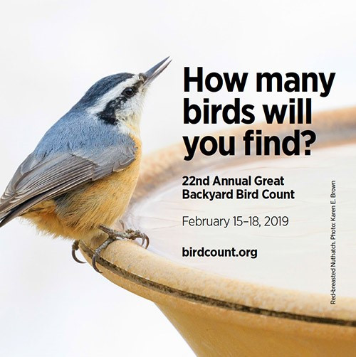 Maryland Backyard Birds
 GREAT BACKYARD BIRD COUNT CALVERT COUNTY Southern