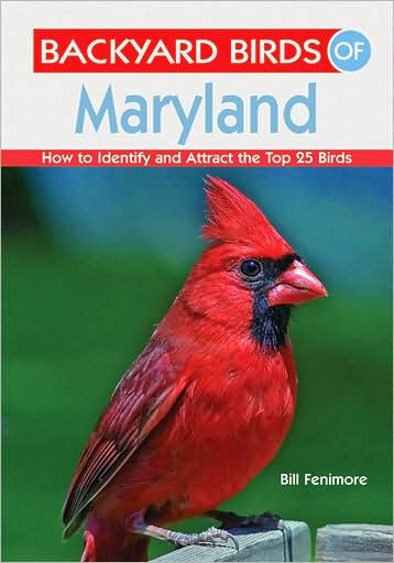 Maryland Backyard Birds
 Backyard Birds of Maryland How to Identify and Attract