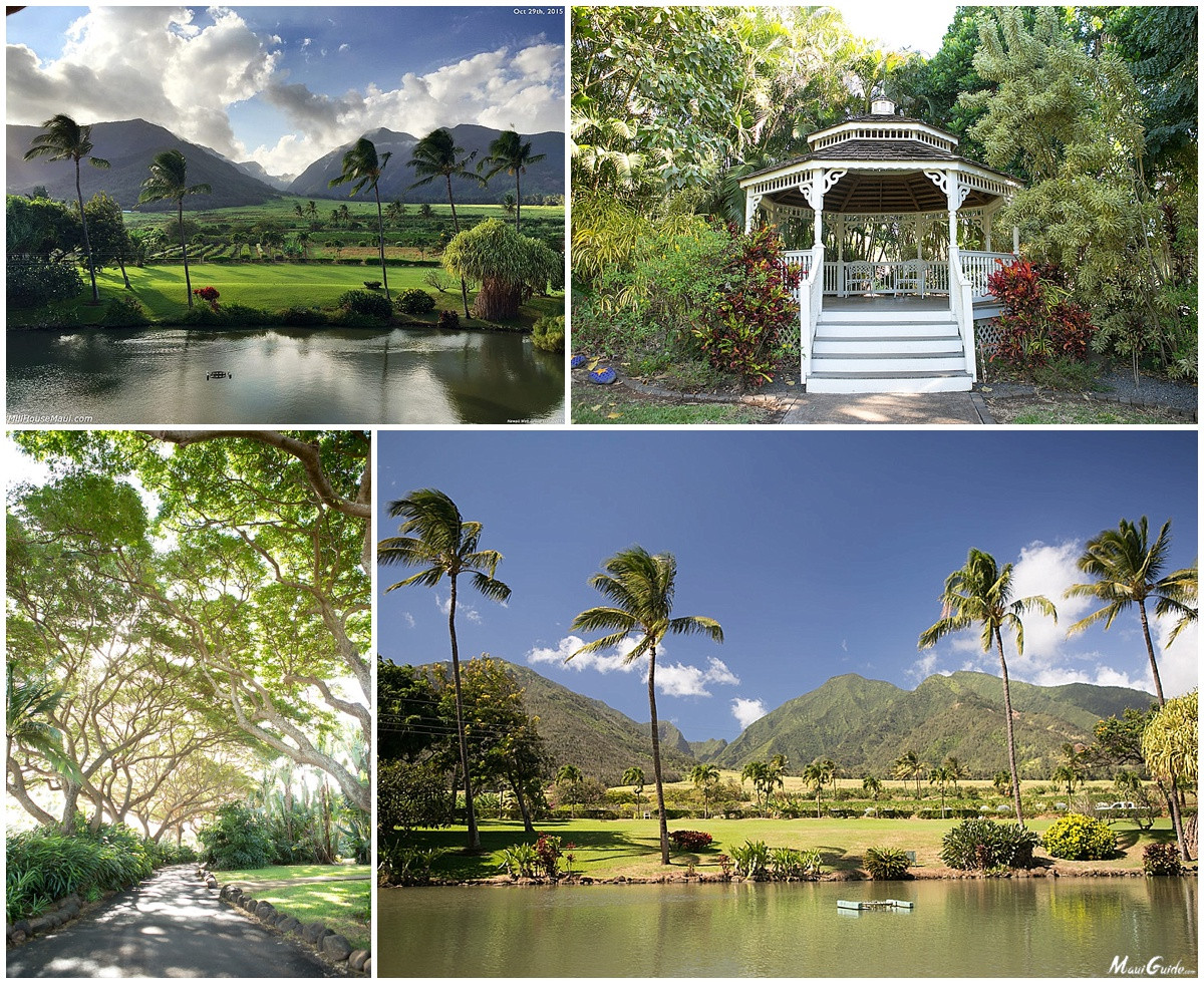 Maui Wedding Venues
 8 Great Options for Maui Wedding Vendors Maui Guide