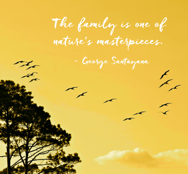 Meaningful Quote About Family
 40 Inspirational Family Quotes and Family Sayings