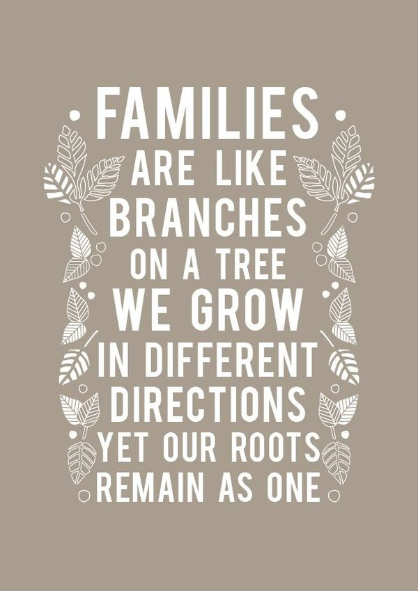 Meaningful Quote About Family
 Family Quotes 167 Short Love My Family Sayings