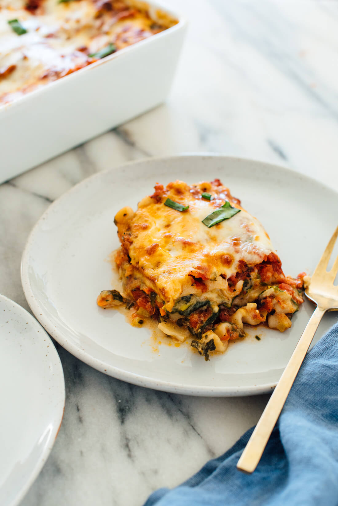 Meat And Vegetable Lasagna
 ve able lasagna cheese sauce