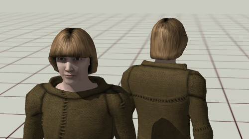 Medieval Male Hairstyles
 Moddingstorm ficial Mods and Addons for Moviestorm