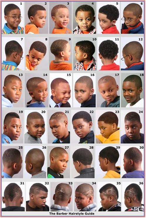 Mens Hairstyle Guide
 Hairstyle posters in Black Barbershops Inspired by Flea