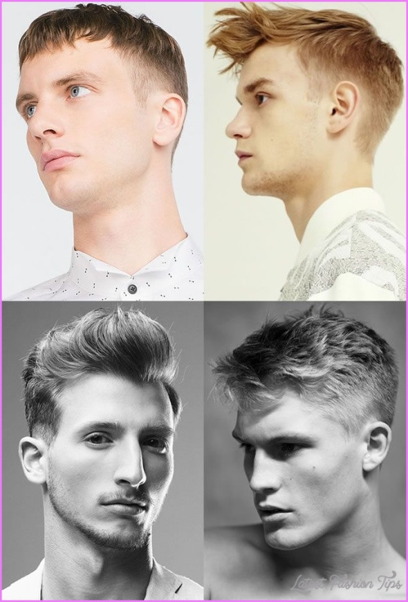 Mens Hairstyle Guide
 Mens Hairstyle Guide LatestFashionTips