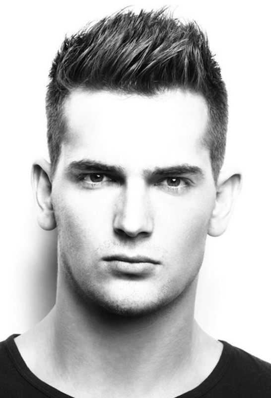 Mens Short Hair Cut
 Top Men Hairstyles 2013