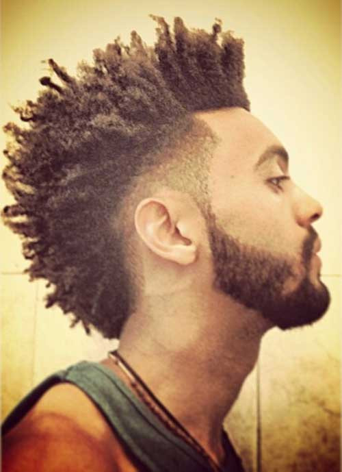 Mens Twist Hairstyle
 Afro Twist Hairstyles