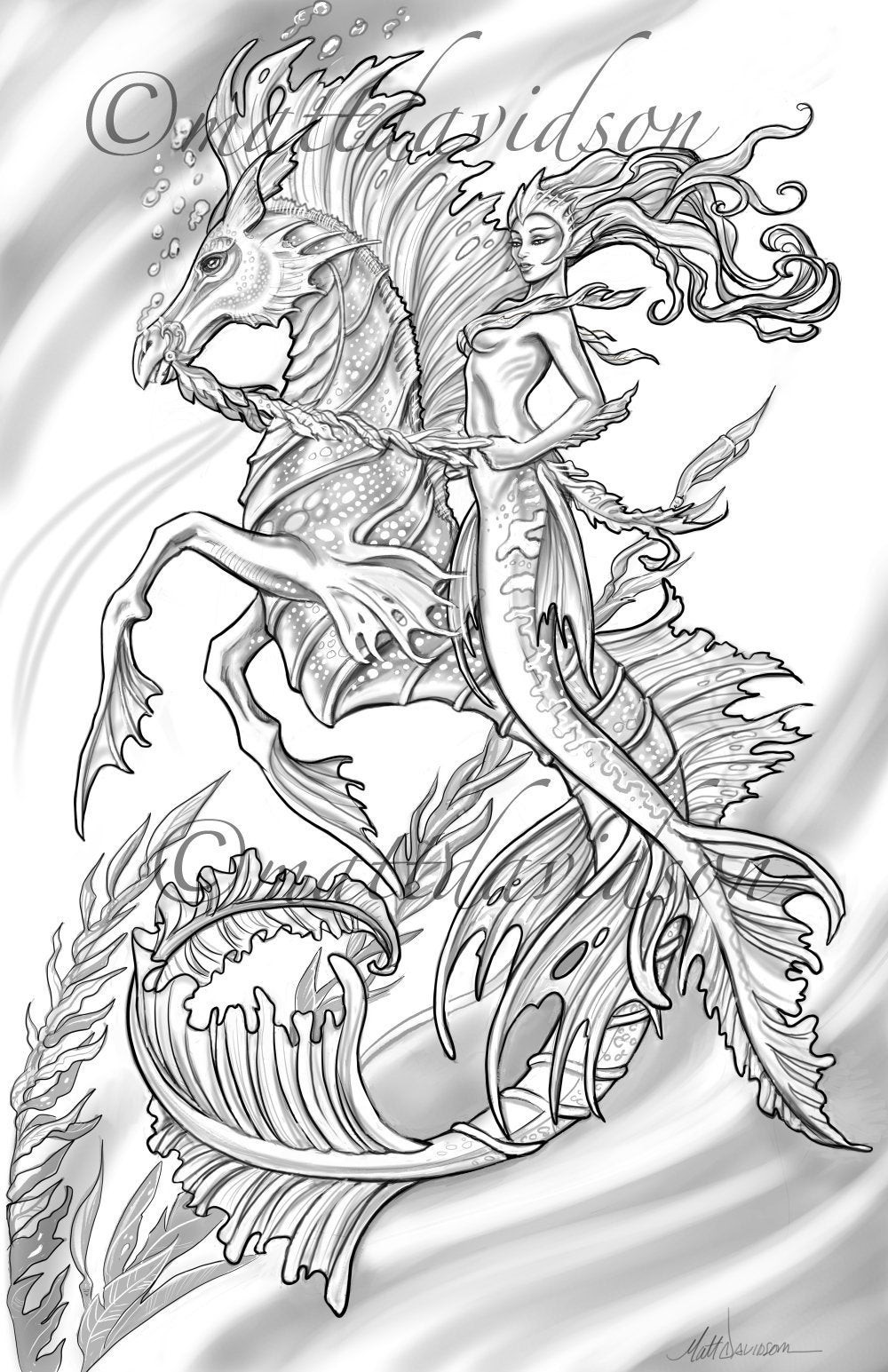 Mermaid Adult Coloring Book
 Aquilla and her steed Morceffyl Seahorse and Mermaid