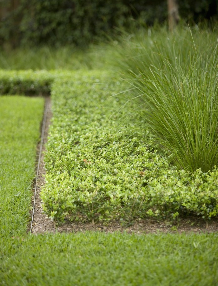 Metal Landscape Edging
 Hardscaping 101 Metal Landscape Edging Gardenista