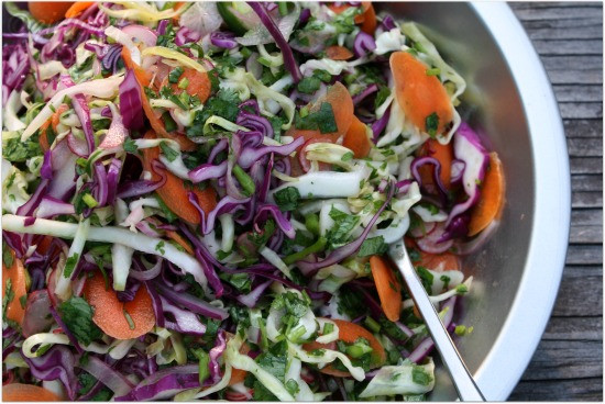 Mexican Cabbage Salad Recipes
 Mexican inspired Slaw or Cabbage Salad All Roads Lead