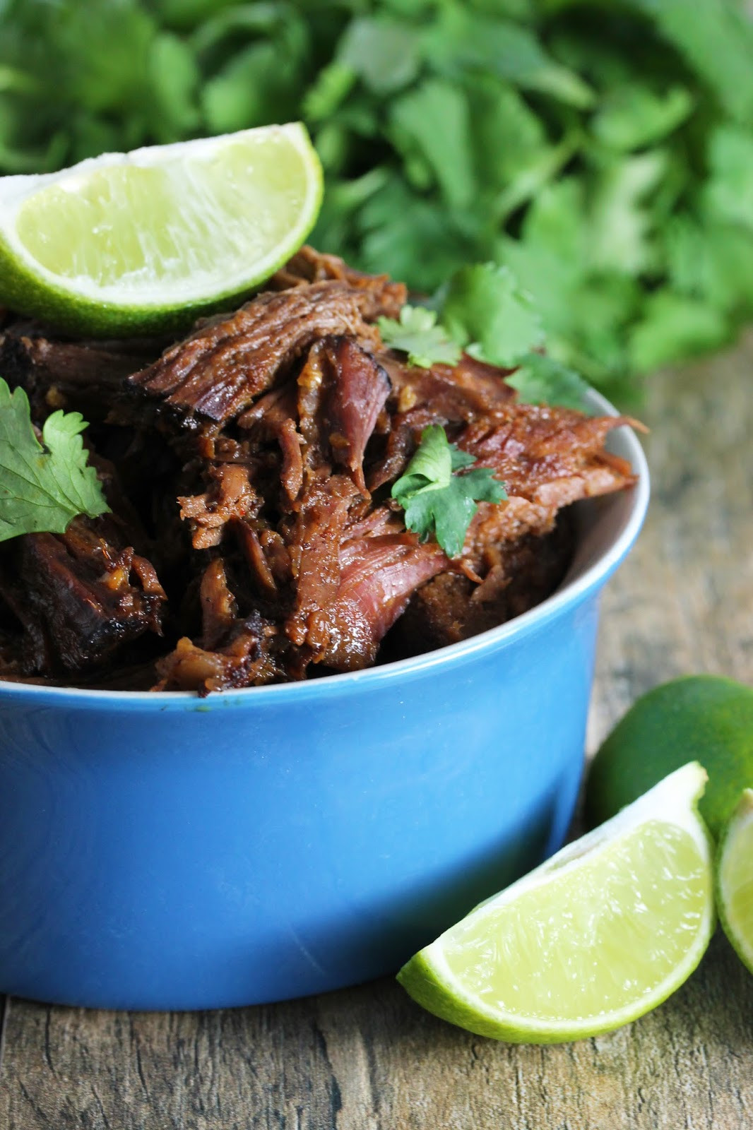 Mexican Slow Cooker Recipes
 easy slow cooker chili lime mexican shredded beef