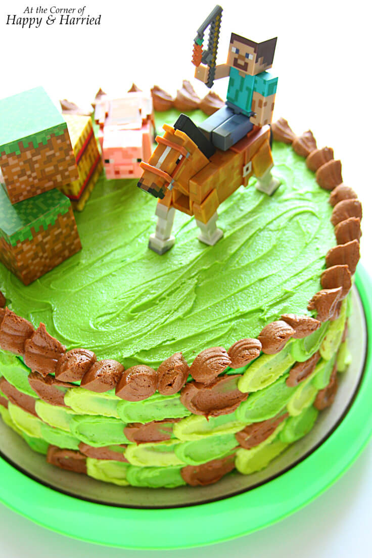 Minecraft Birthday Cakes
 Minecraft Themed Birthday Cake