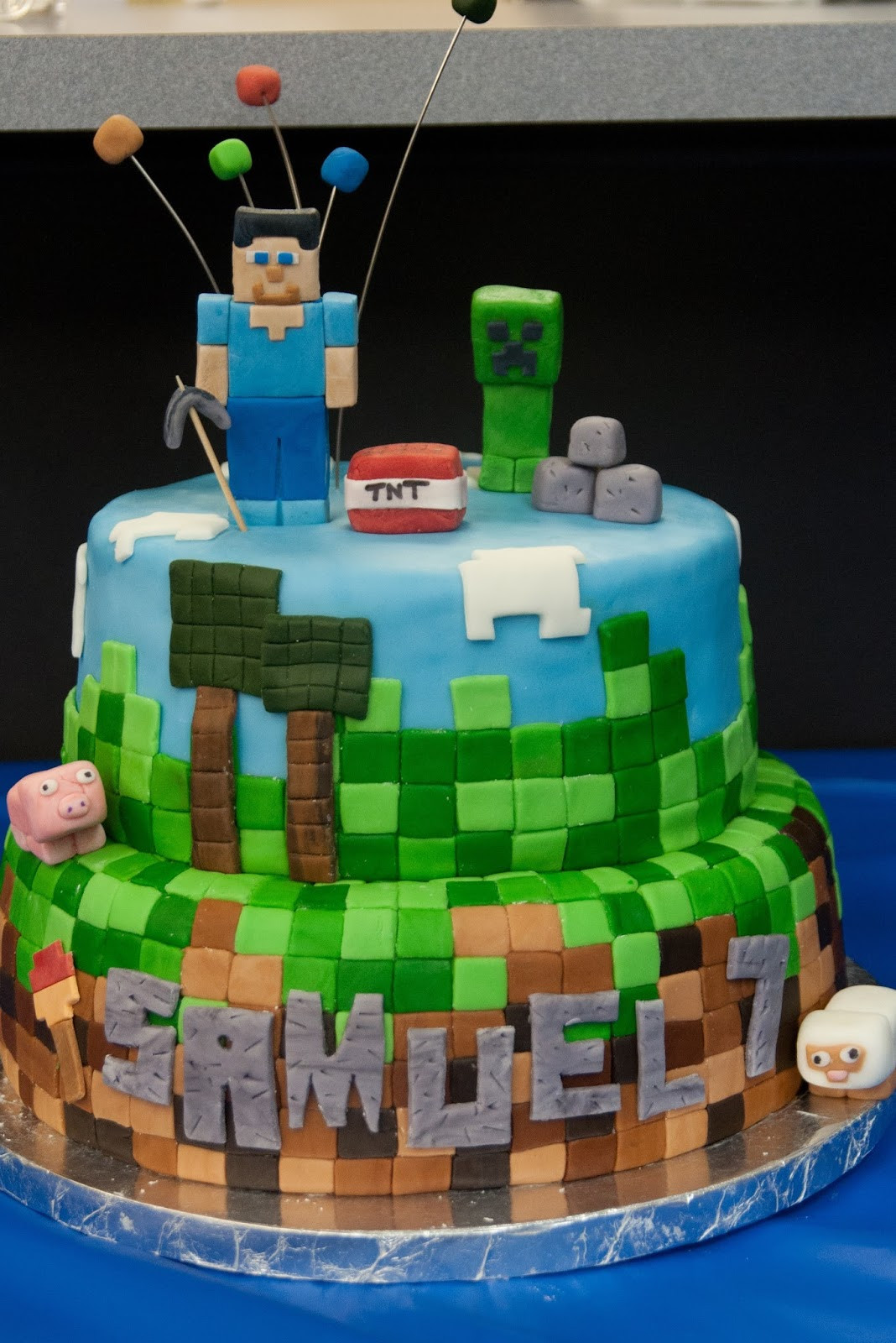 Minecraft Birthday Cakes
 Pink Bluebonnet Minecraft Cake