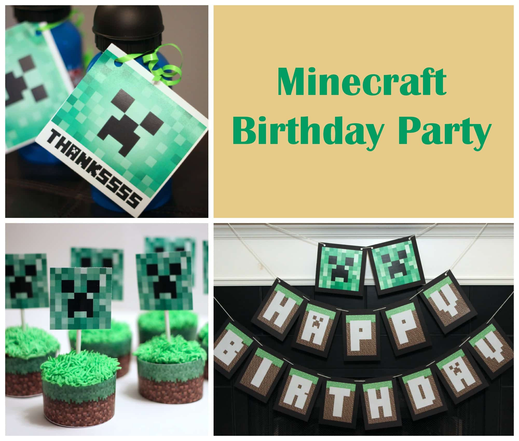 Minecraft Birthday Party
 Minecraft Birthday Party Ideas Mom vs the Boys