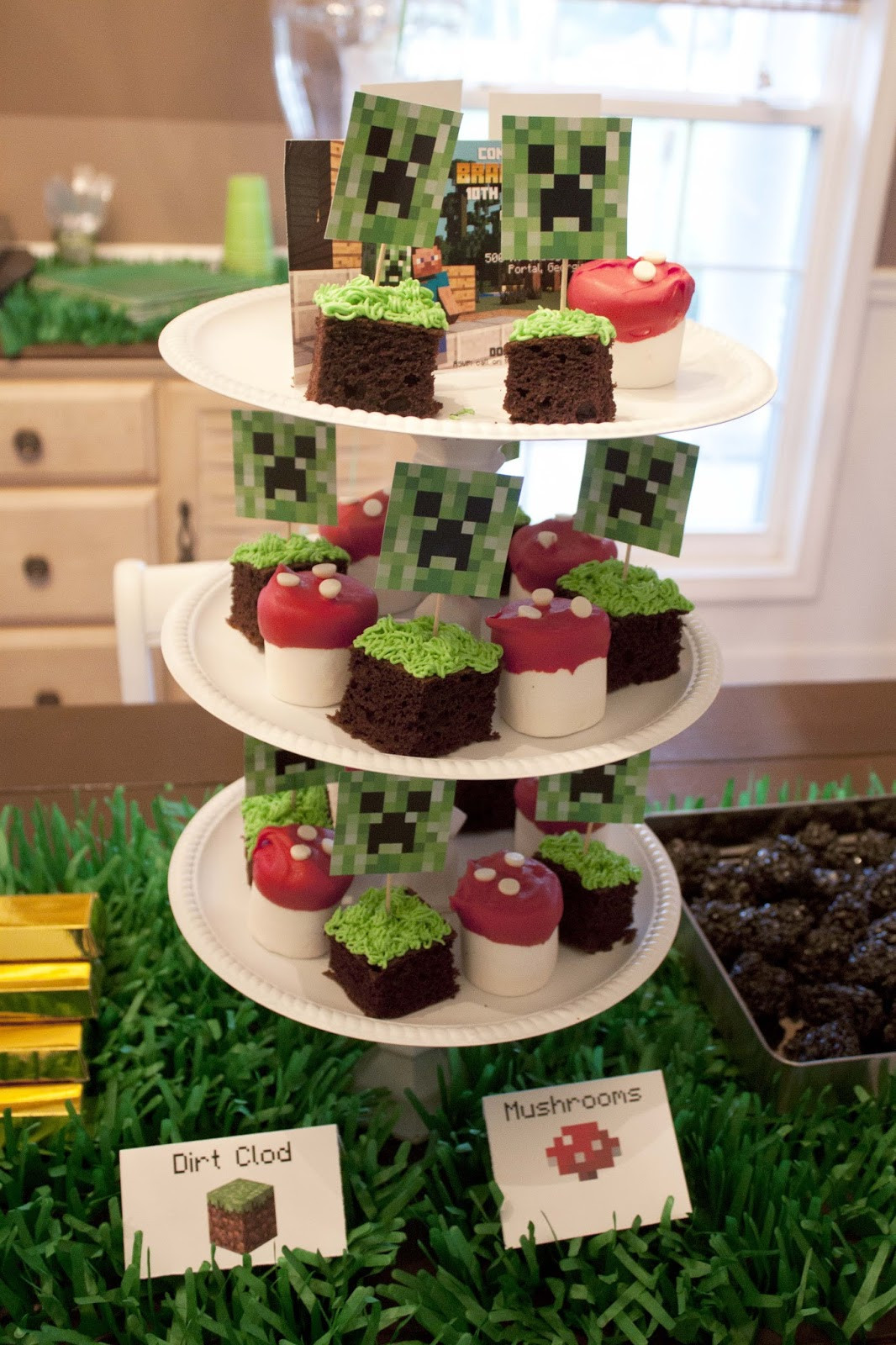 Minecraft Birthday Party
 DIY Minecraft Birthday Party craft ideas party favors