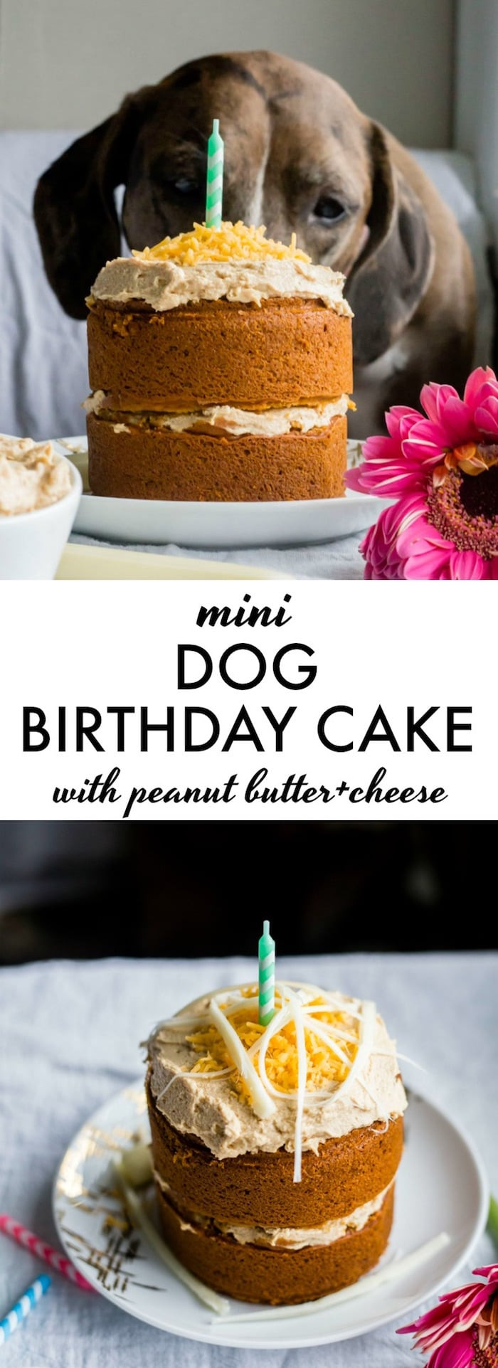 Mini Birthday Cake Recipe
 Mini Dog Birthday Cake