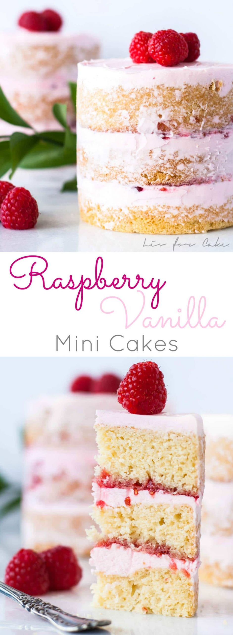 Mini Birthday Cake Recipe
 Raspberry Vanilla Mini Cakes