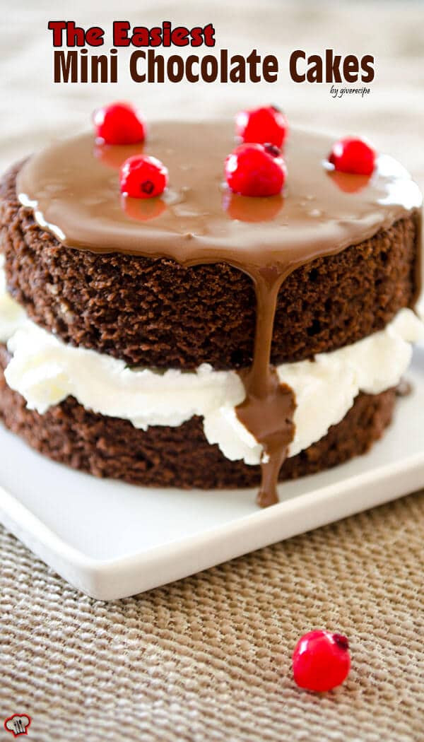 Mini Birthday Cake Recipe
 The Easiest Mini Chocolate Cakes