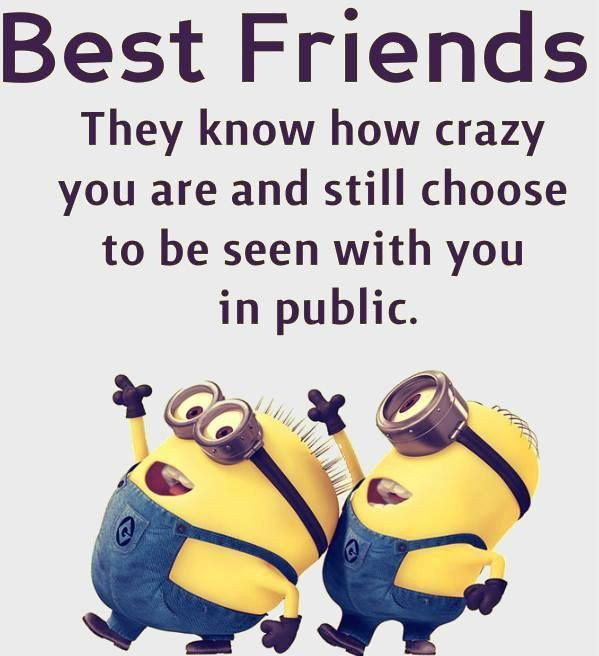 Minion Friendship Quotes
 Top 30 Famous Minion Friendship Quotes – Quotes and Humor