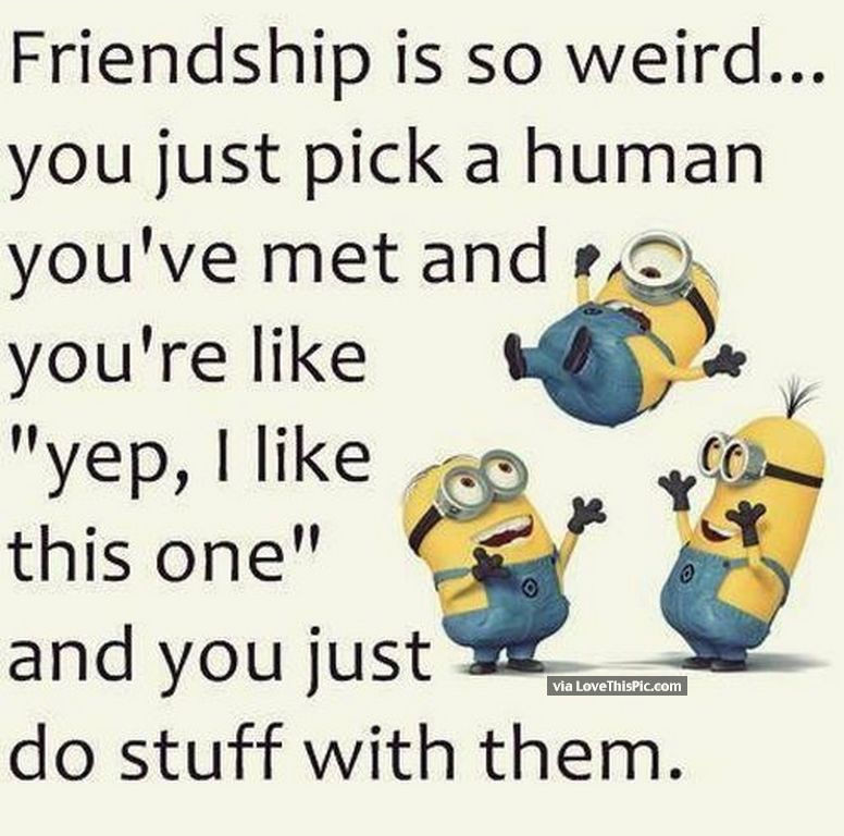 Minion Friendship Quotes
 Friendship Minion Quote s and for