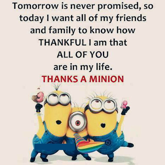 Minion Friendship Quotes
 Thankful To All My Friends Minion Quote s