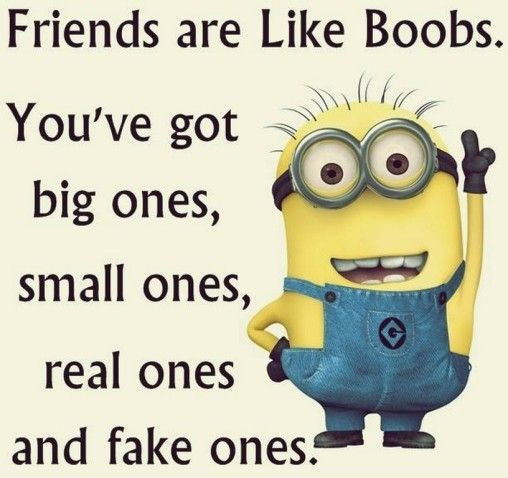 Minion Friendship Quotes
 Funniest Minion Quotes and The Week