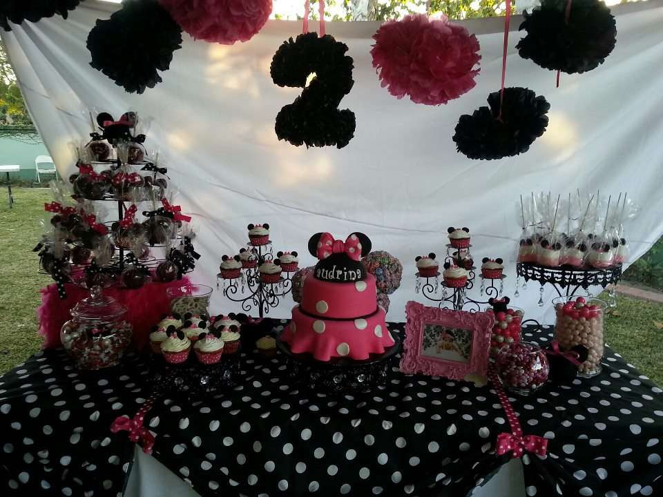 Minnie Mouse 2nd Birthday Party
 Minnie Mouse 2nd Birthday Birthday Party Ideas