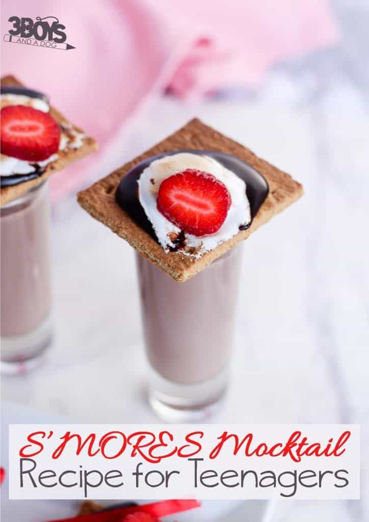 Mocktail Recipes For Kids
 Smores Mocktail Recipe for Teens – 3 Boys and a Dog