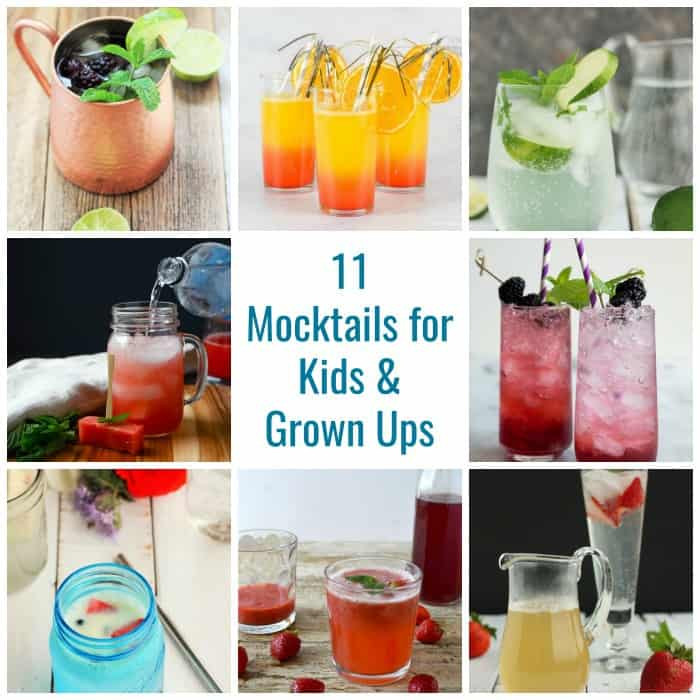 Mocktail Recipes For Kids
 11 Popular Mocktails for Kids Famous Mocktail Recipes