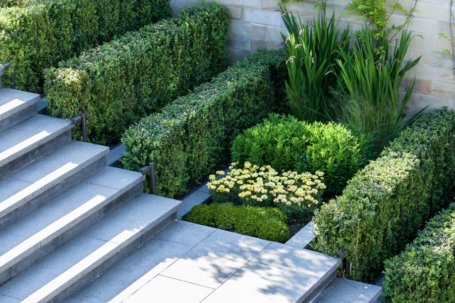 Modern Backyard Landscaping
 How to Add Modern Elements to Your Landscape Design