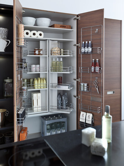 Modern Kitchen Pantry
 2 030 Modern Kitchen Pantry Design Ideas & Remodel