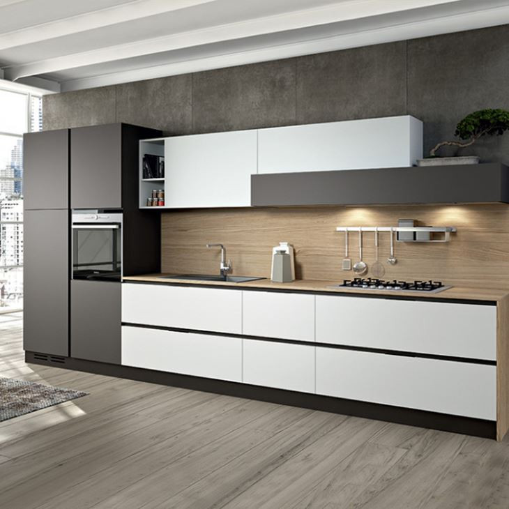 Modern Style Kitchen Cabinets
 China Customized Modern Design Paint Kitchen Cabinet