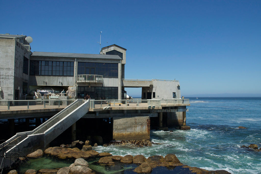 Monterey Bay Aquarium Thanksgiving
 30 Best Monterey Bay Aquarium Thanksgiving Hours Home