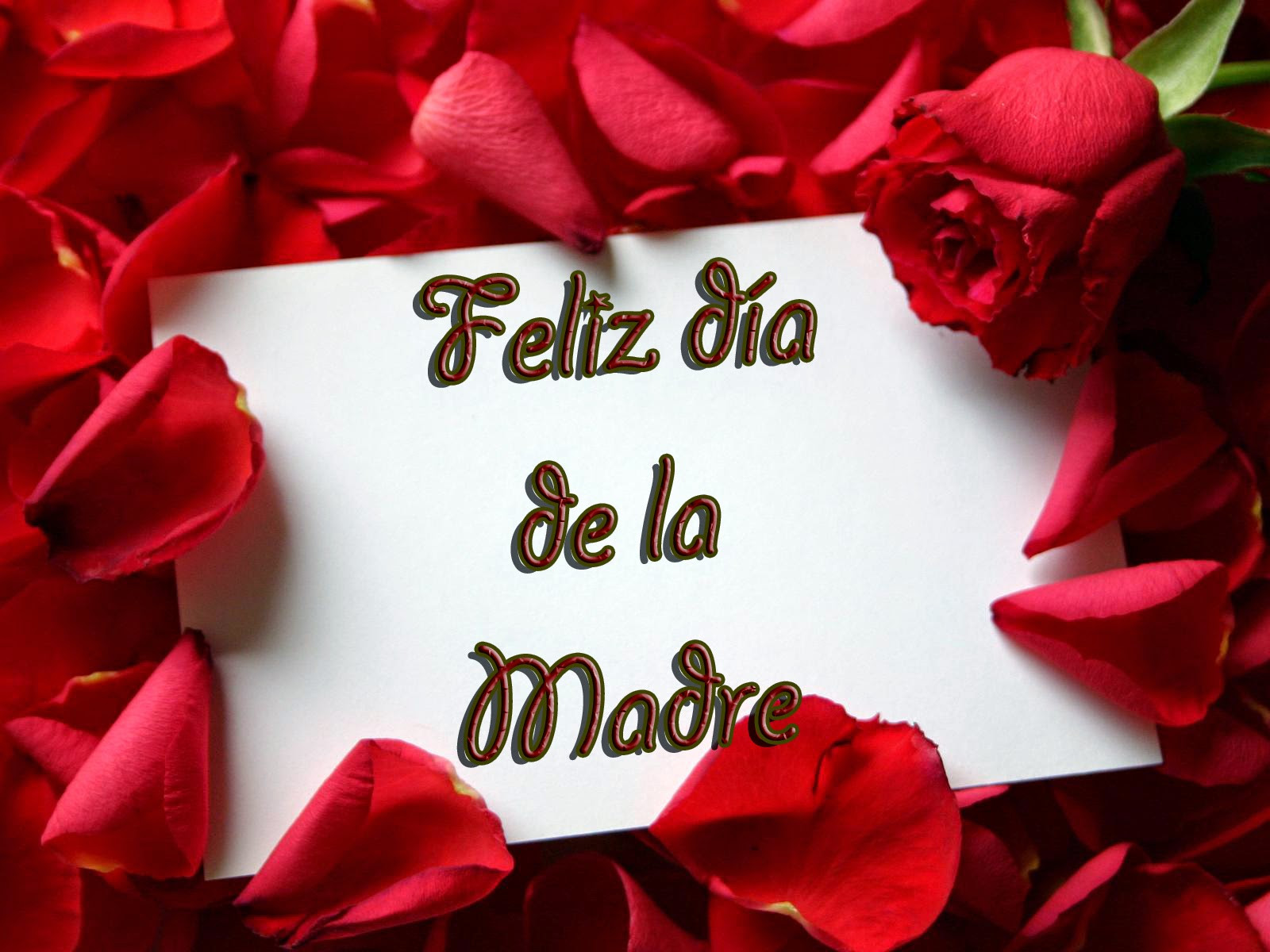 Mother Quotes In Spanish
 Happy Mothers Day Quotes Spanish 2015 Mexico Mothers