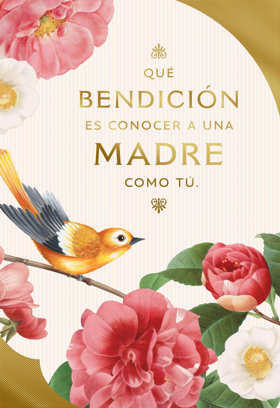 Mother Quotes In Spanish
 You re a Blessing to Know Religious Spanish Language