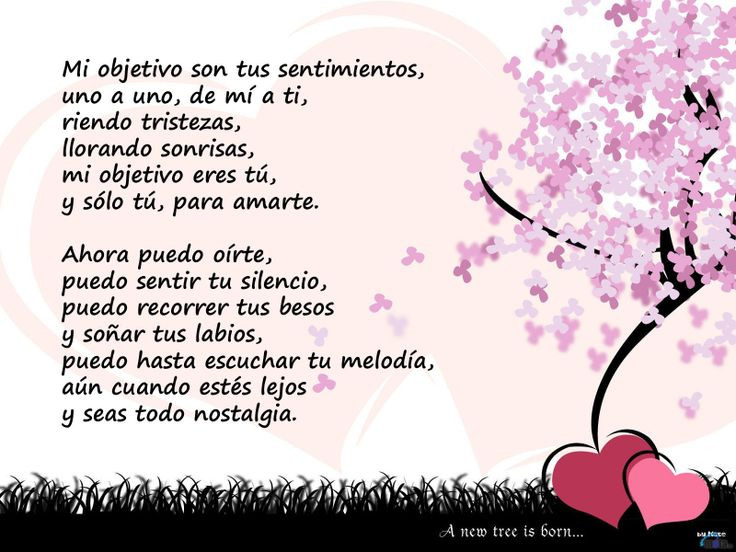 Mother Quotes In Spanish
 QUOTES FOR MOM ON HER BIRTHDAY IN SPANISH image quotes at