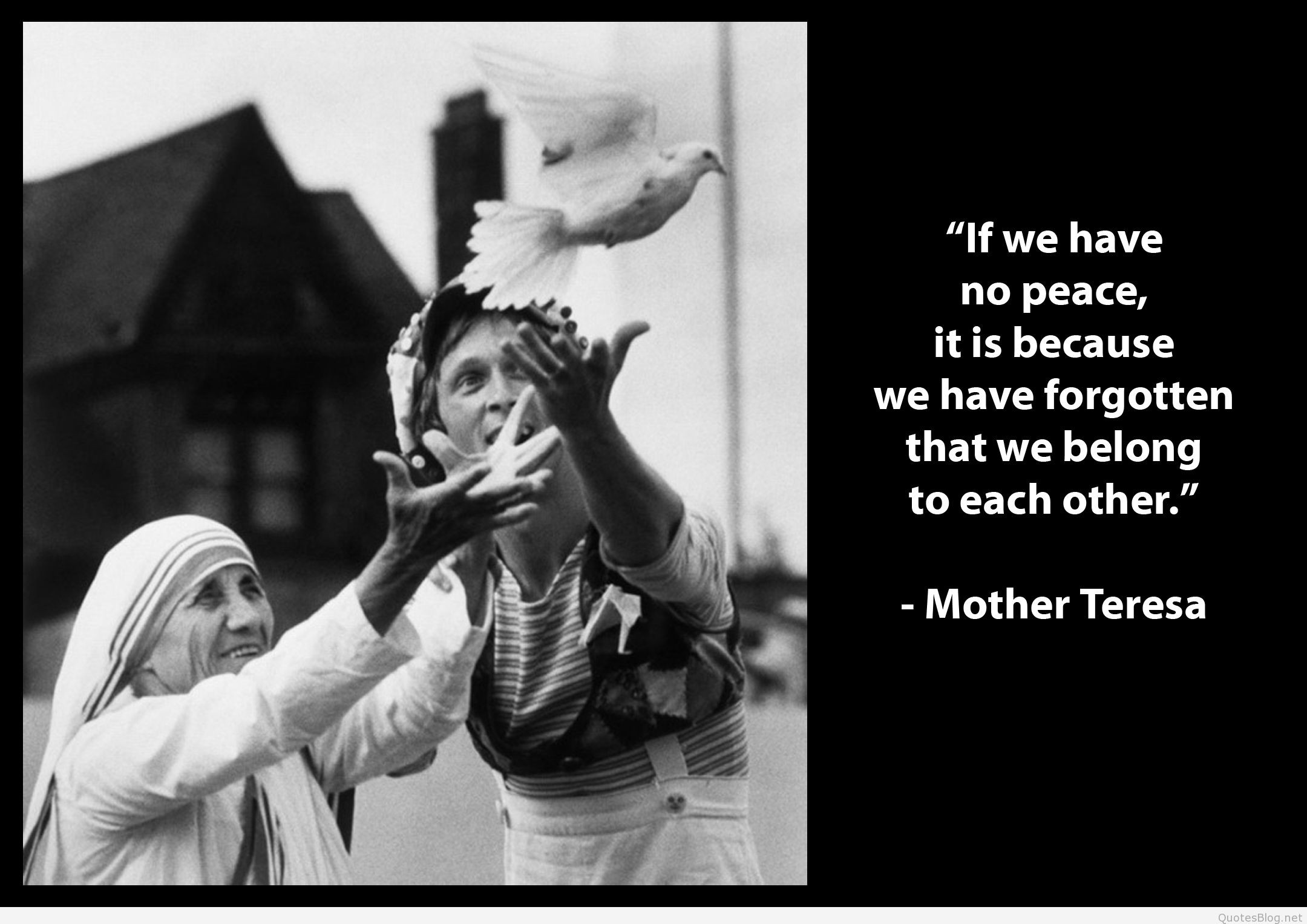 Mother Teresa Peace Quote
 Mother Theresa Brainy Quotes and sayings