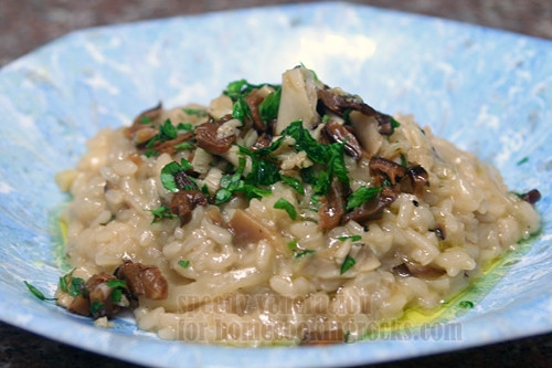 Mushroom Risotto Jamie Oliver
 Risotto with grilled oyster and shiitake mushrooms