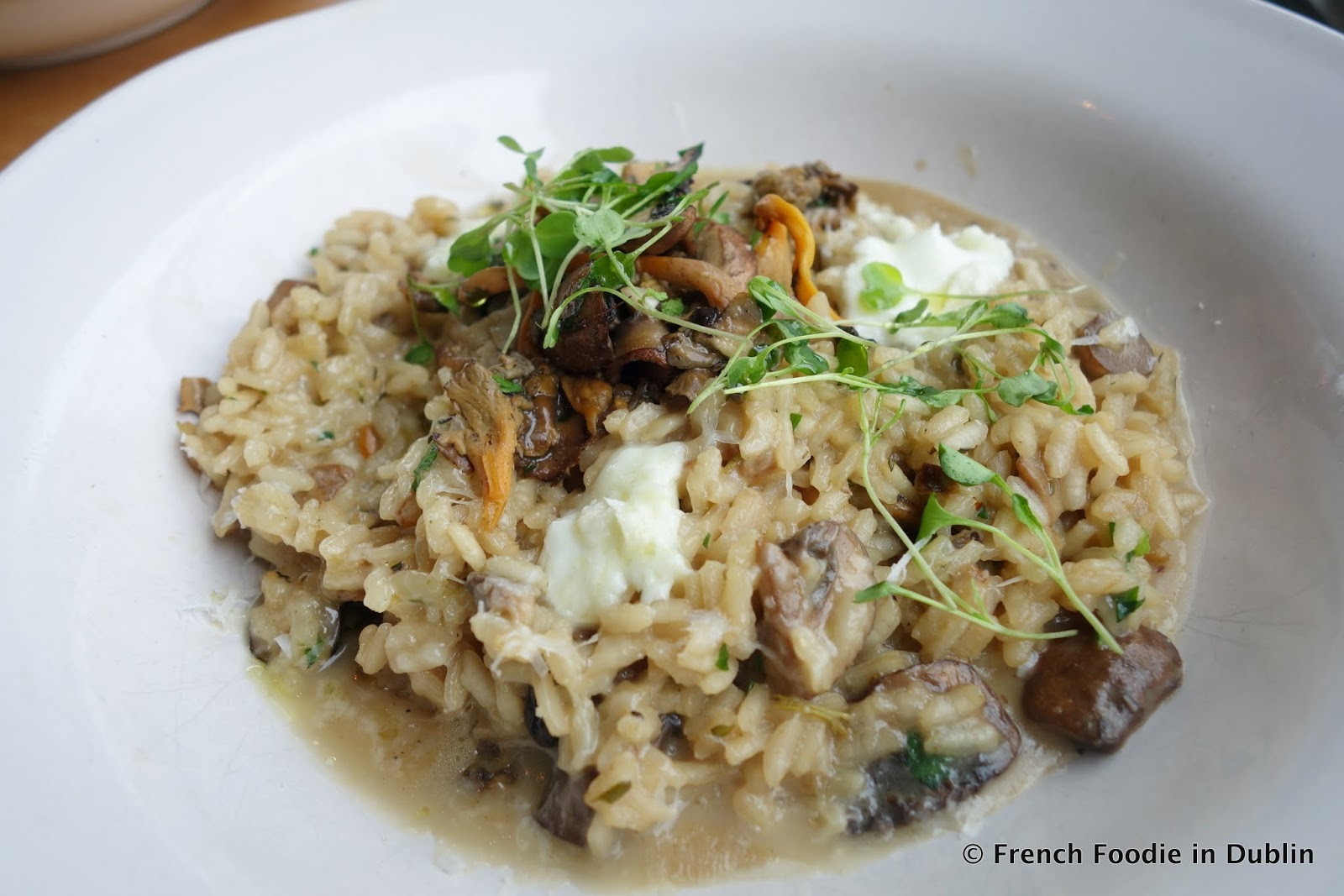 Mushroom Risotto Jamie Oliver
 wild mushroom risotto jamie oliver