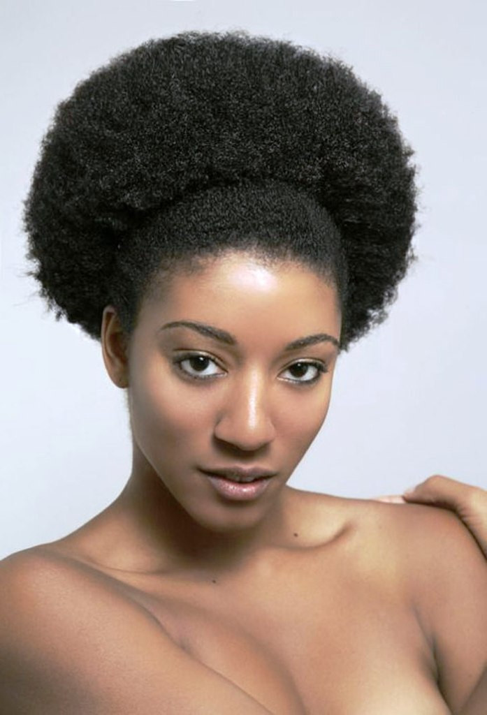 Natural Afro Hairstyles
 9 Beautiful Afro Hairstyles For Natural Hair Black White