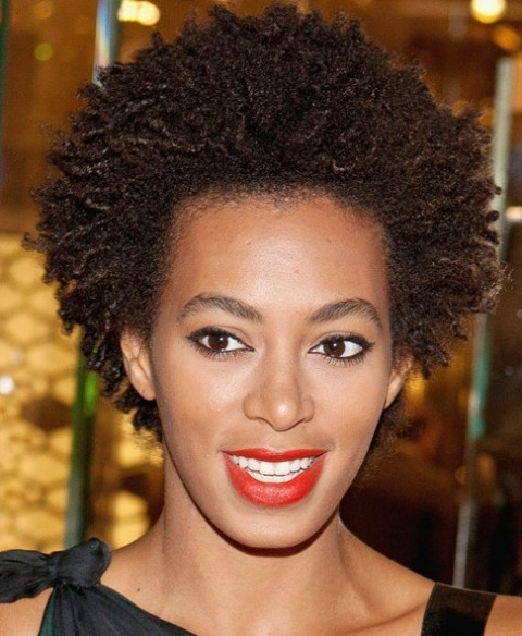 Natural Afro Hairstyles
 African American Natural Short Hairstyles – CircleTrest