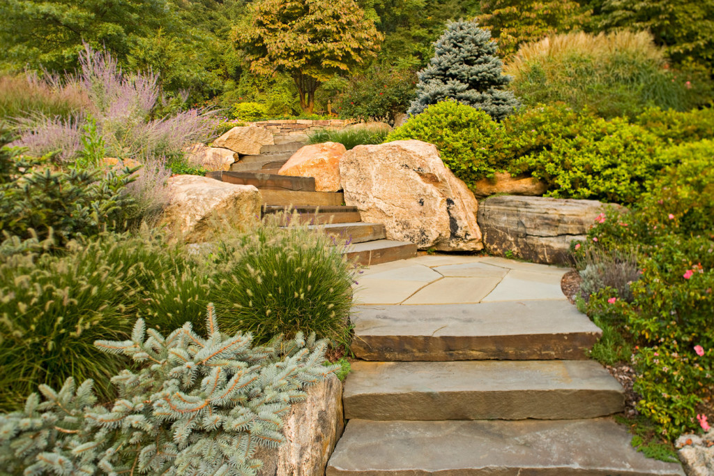 Natural Landscape Design
 Natural Landscape Design