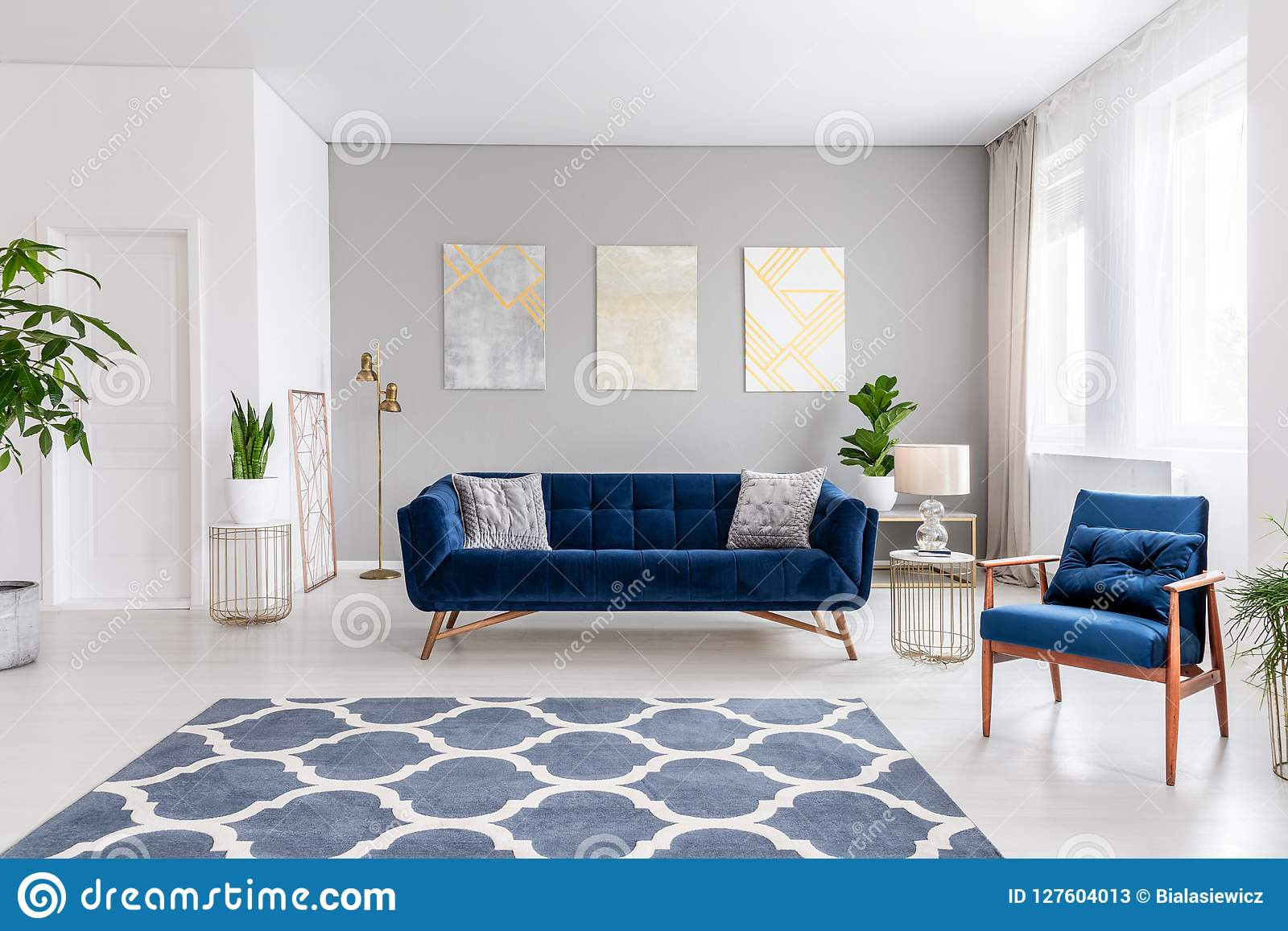 Navy Blue Rug Living Room
 Open Space Living Room Interior With A Navy Blue Sofa And